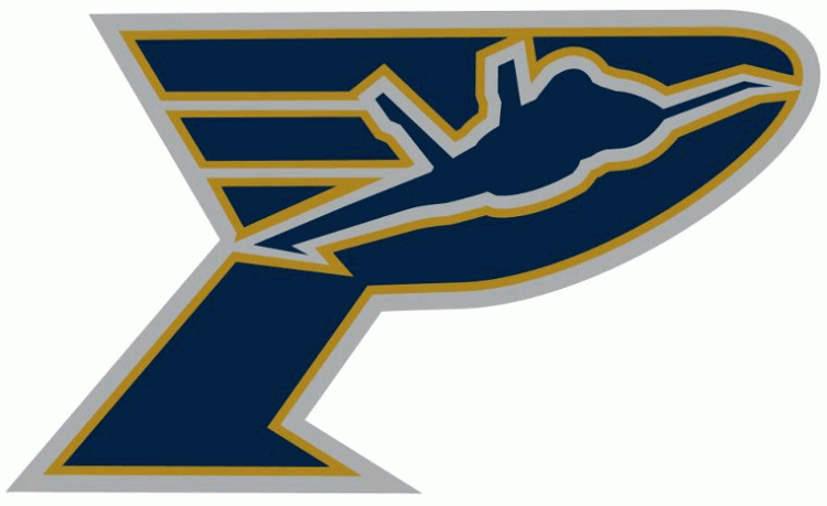 pensacola ice flyers 2012 secondary logo iron on heat transfer